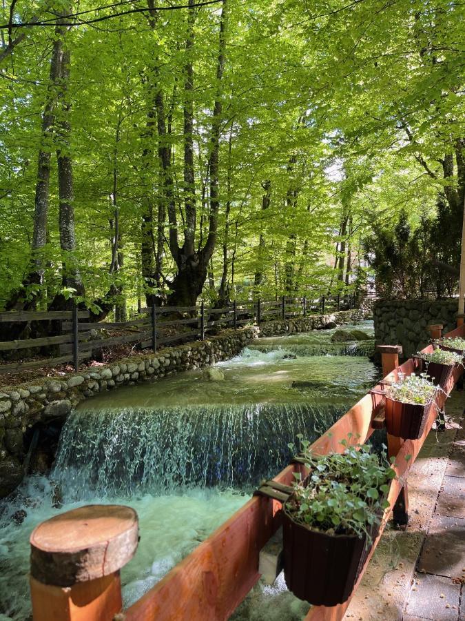 De La Villa Brezovice Exteriér fotografie